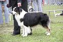 Champion Males